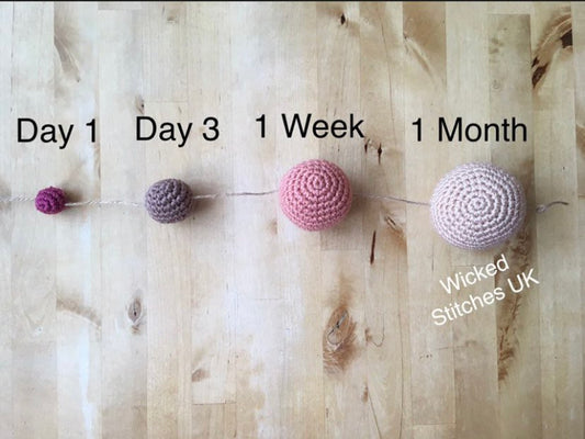 Newborn Stomach Sizes.